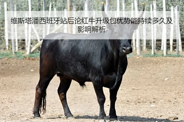 wei-si-ta-pan-xi-ban-ya-zhan-hou-lun-hong-niu-sheng-ji-bao-you-shi-neng-chi-xu-duo-jiu-ji-ying-xiang-jie-xi-2-891.jpg