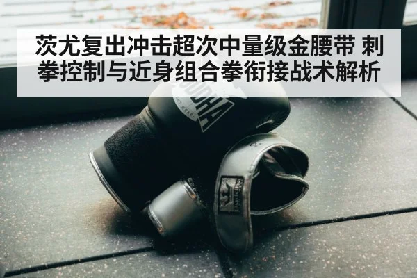 boxing training gloves