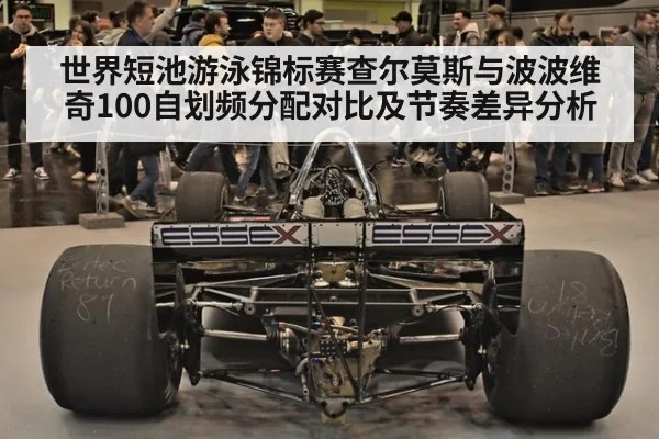 世界短池游泳锦标赛查尔莫斯与波波维奇100自划频分配对比及节奏差异分析 | jiuyouhui